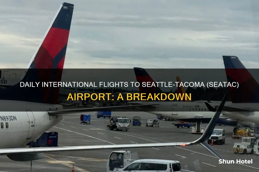 how many international flights to seatac airport per day