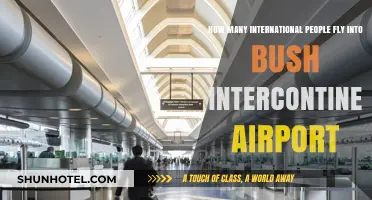 Global Travelers: Bush Intercontinental Airport's International Passenger Insights