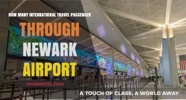 Newark Airport's Global Reach: International Passenger Traffic Unveiled