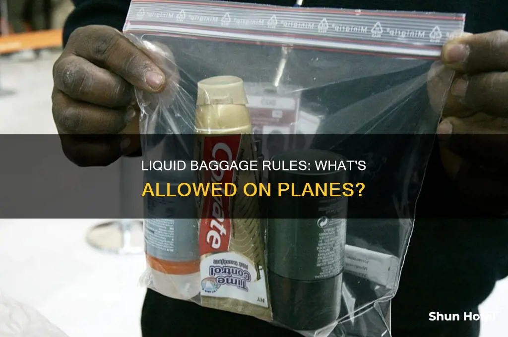 how many liquid bags can i carry in an airport