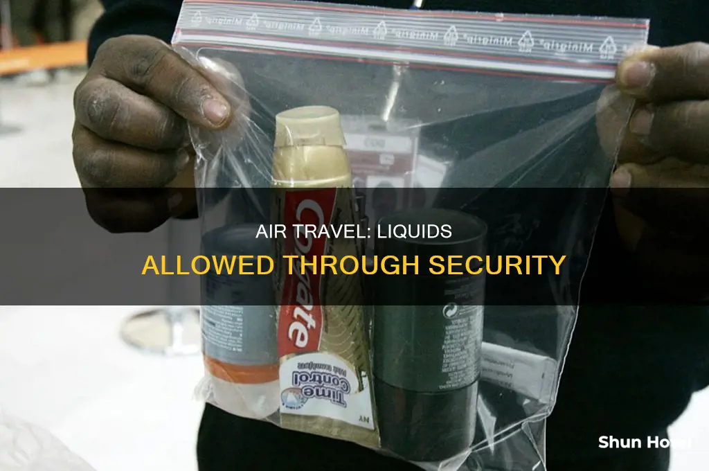 how many liquid fl can i take through airport security