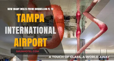 Dunnellon to Tampa International Airport: Distance and Travel Guide