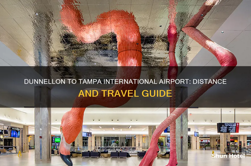 how many miles from dunnellon fl to tampa international airport