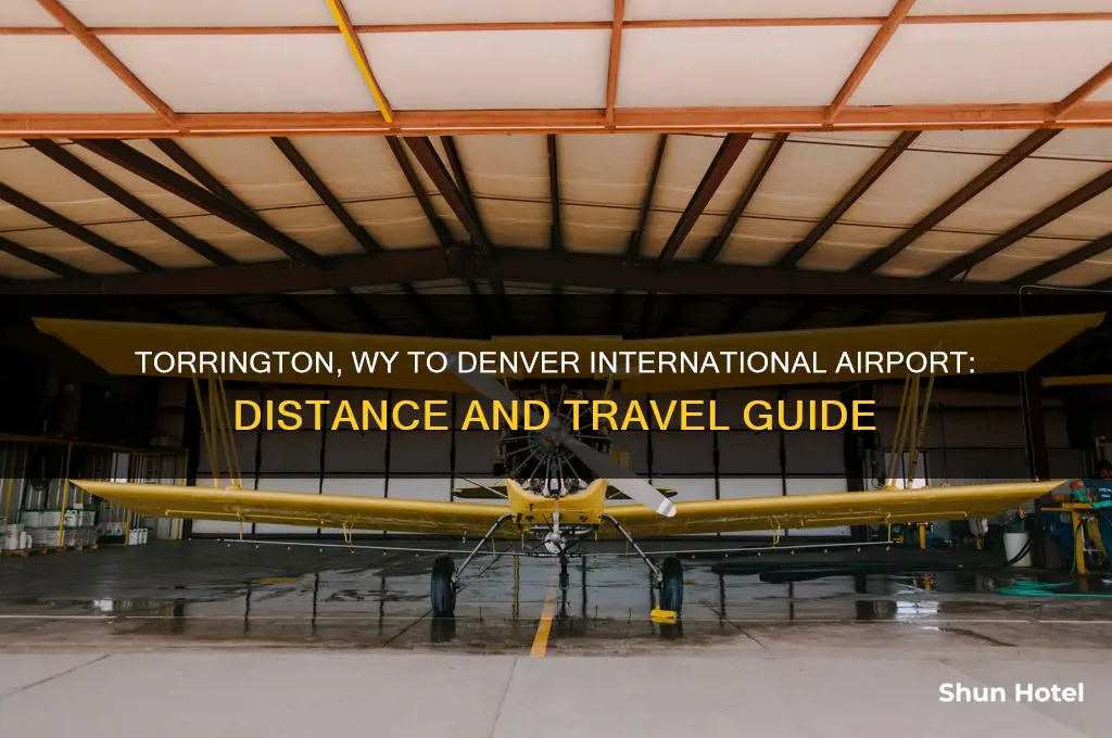 how many miles from torrington wy to denver international airport