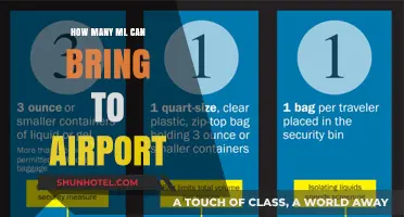 Air Travel and Liquids: What's the Limit?