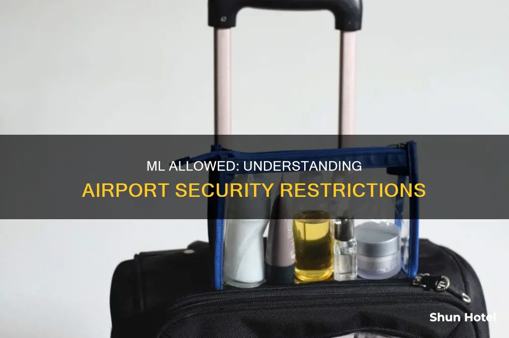 how many ml can go through airport security