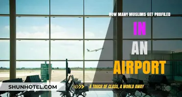 Airport Profiling: The Muslim Experience and Its Impact
