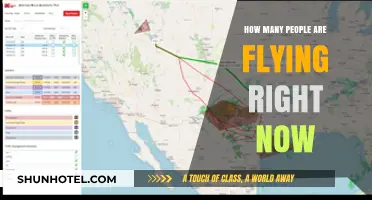 Real-Time Air Traffic: How Many People Are Flying Right Now?