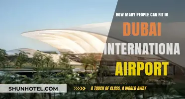 Dubai Airport's Terminal Capacity: A People-Handling Marvel