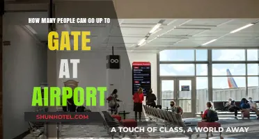 Airport Gate-Crowding: Who's Allowed?