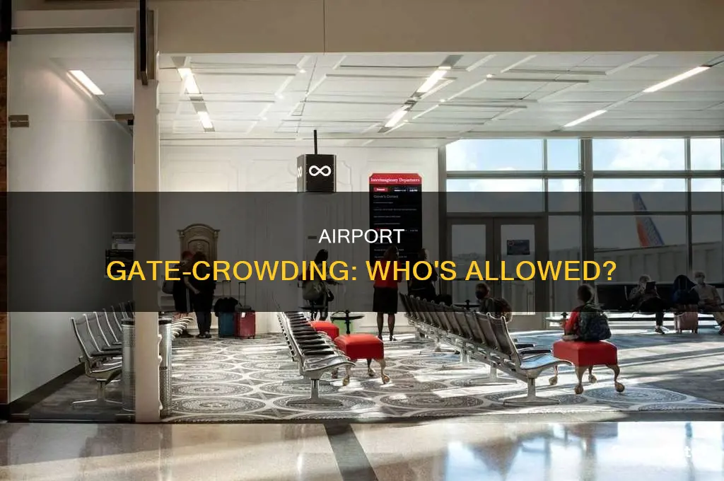 how many people can go up to gate at airport