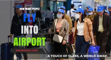 How Many People Fly into Airports Daily? A Comprehensive Analysis