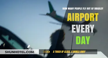 Daily Passenger Traffic at Bradley Airport: How Many Fly Out?