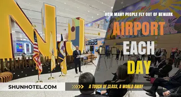 Daily Passenger Traffic at Newark Airport: How Many Fly Out?