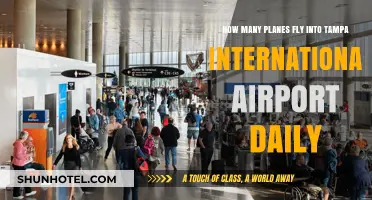 Daily Flights to Tampa: How Many Planes Arrive Each Day?