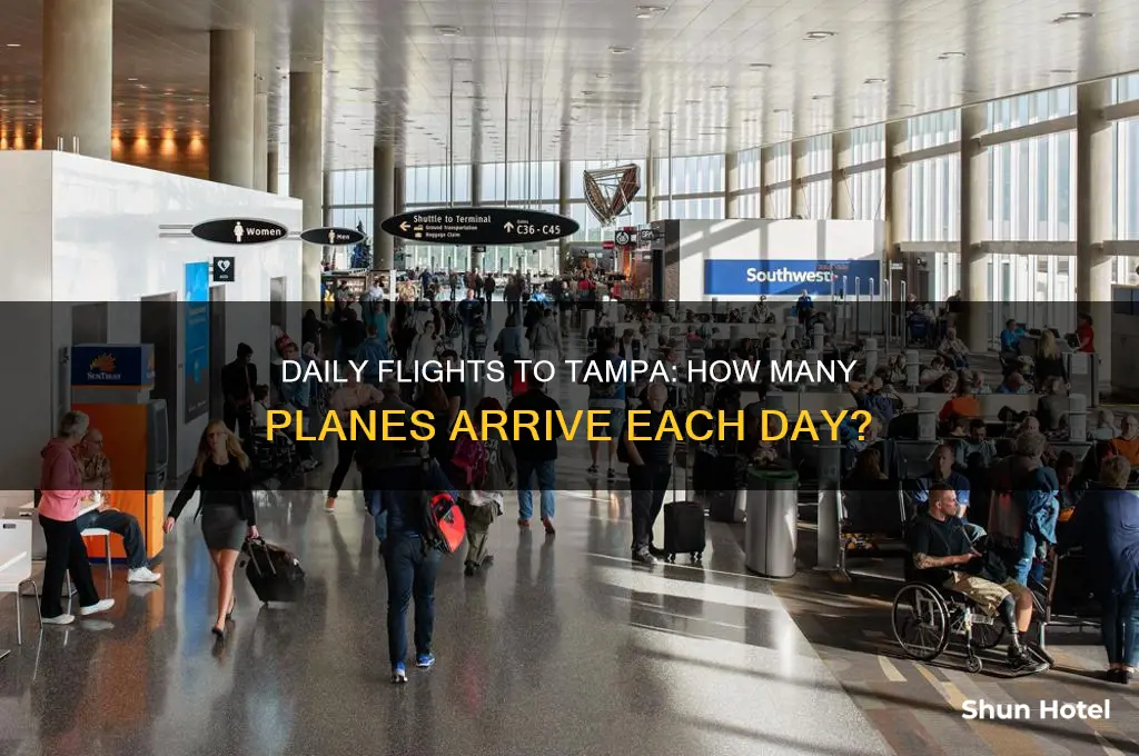 how many planes fly into tampa international airport daily