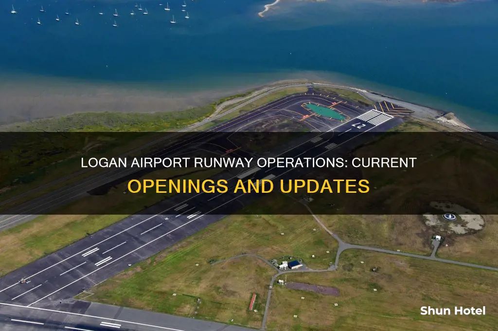 how many runways are open at logan airport