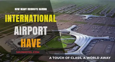 Exploring Harbin International Airport's Runway Count and Facilities