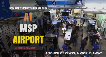 MSP Airport Security Lines: How Many Are Open and When?
