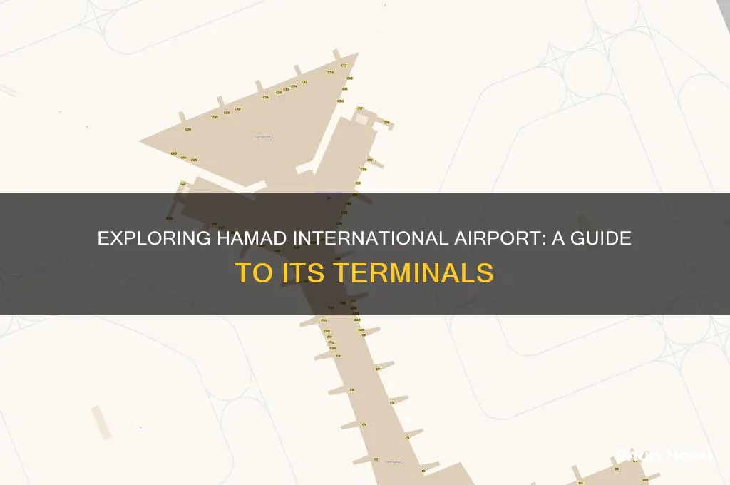 how many terminal in hamad international airport