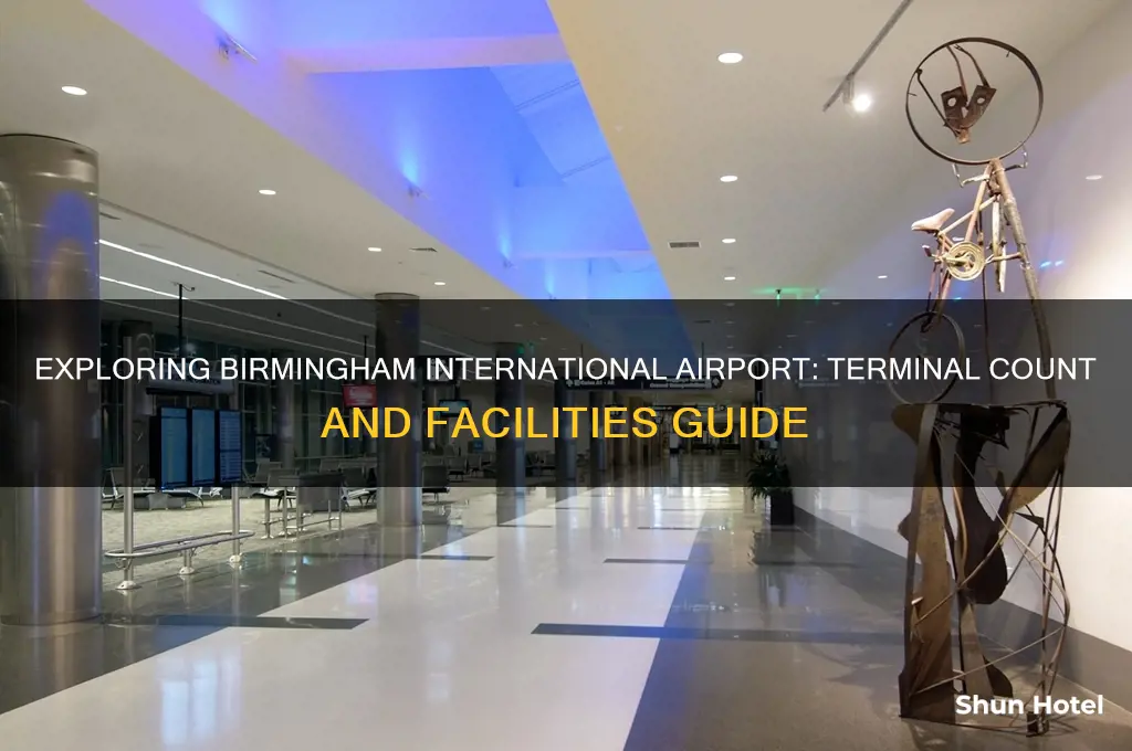 how many terminals at birmingham international airport