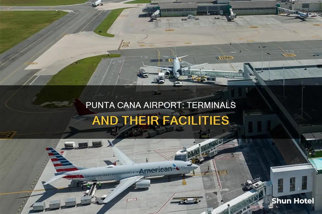 how many terminals at punta cana airport