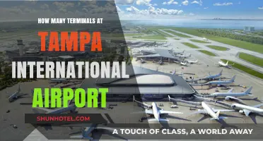 Exploring Tampa International Airport: Terminal Count and Layout Guide
