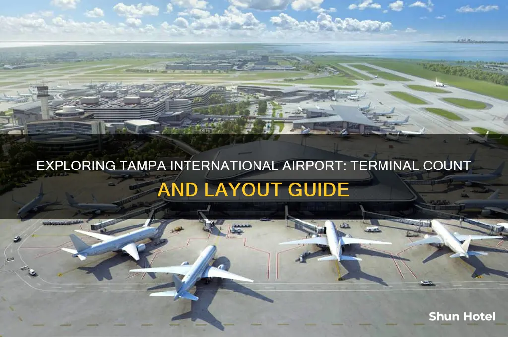 how many terminals at tampa international airport