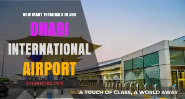 Exploring Abu Dhabi International Airport: Terminal Count and Facilities