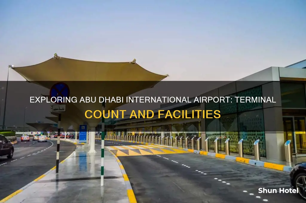 how many terminals in abu dhabi international airport