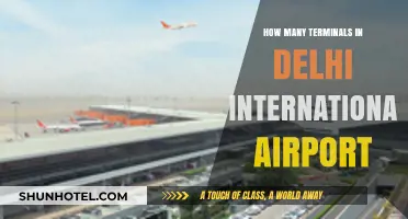 Delhi International Airport Terminal Guide: Count and Key Details
