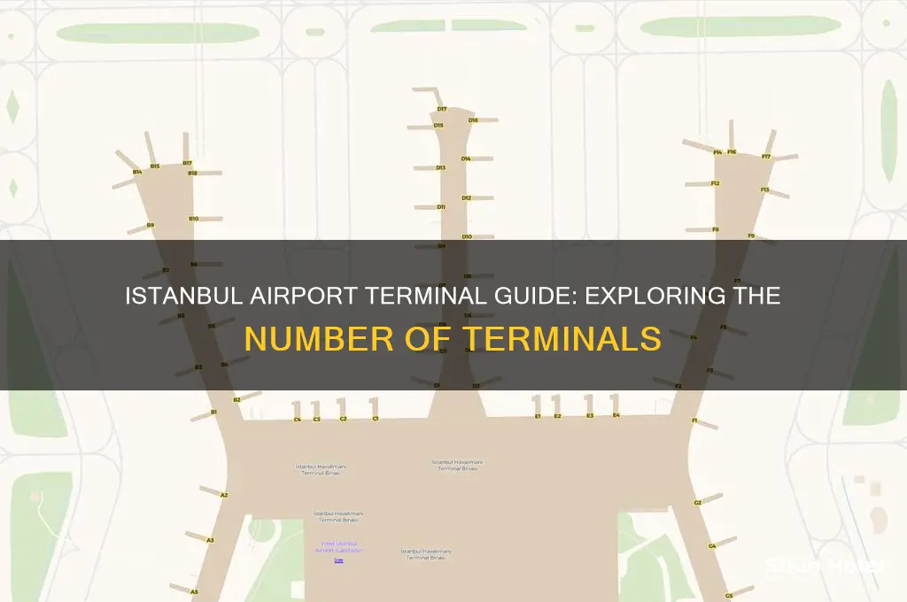 how many terminals in istanbul international airport