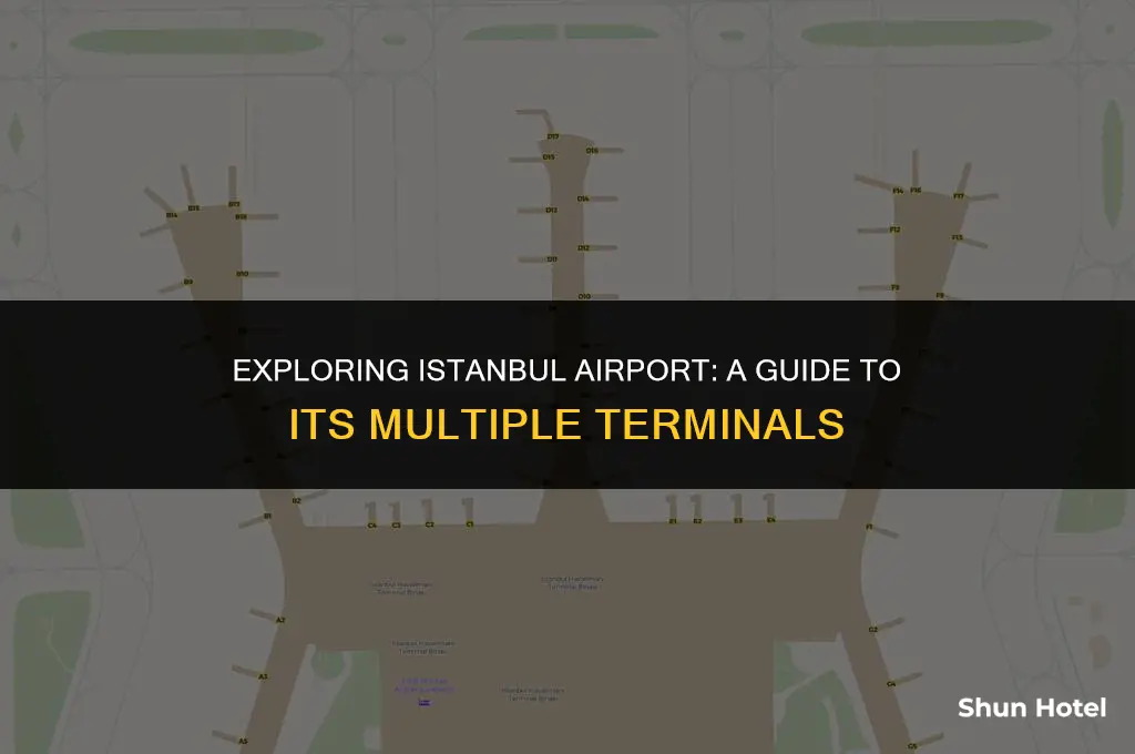 how many terminals in new istanbul airport