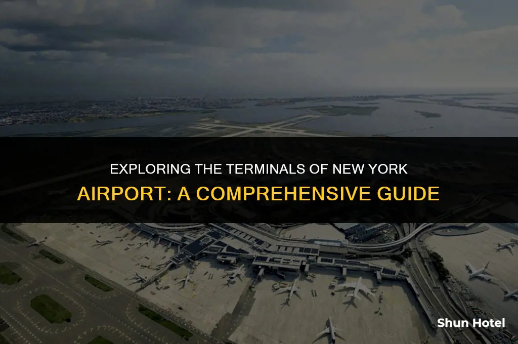 how many terminals in new york airport