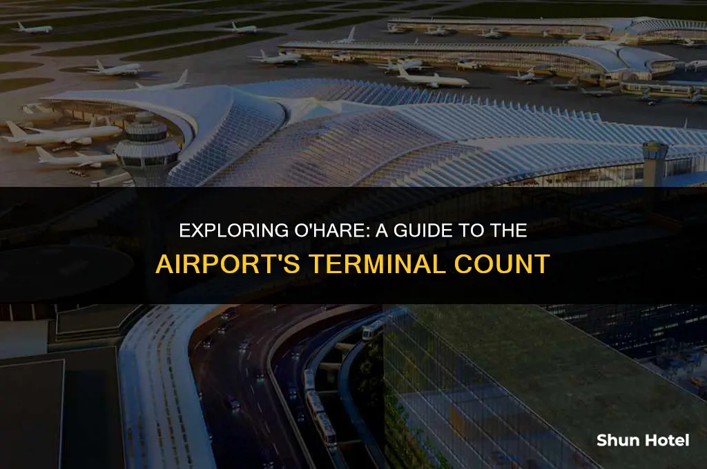 how many terminals in o