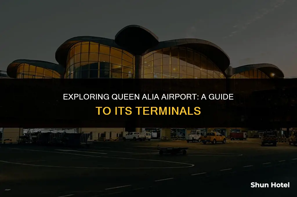 how many terminals in queen alia airport amman