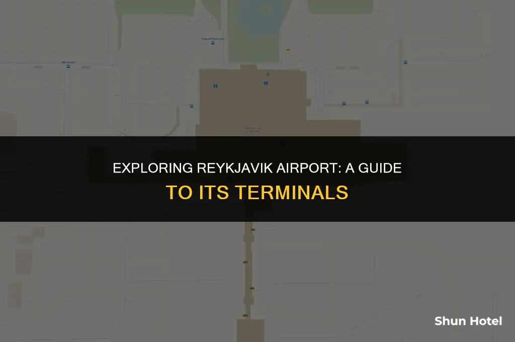 how many terminals in reykjavik airport