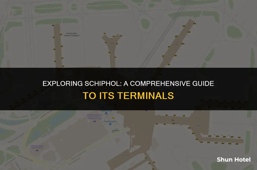 how many terminals in schiphol airport