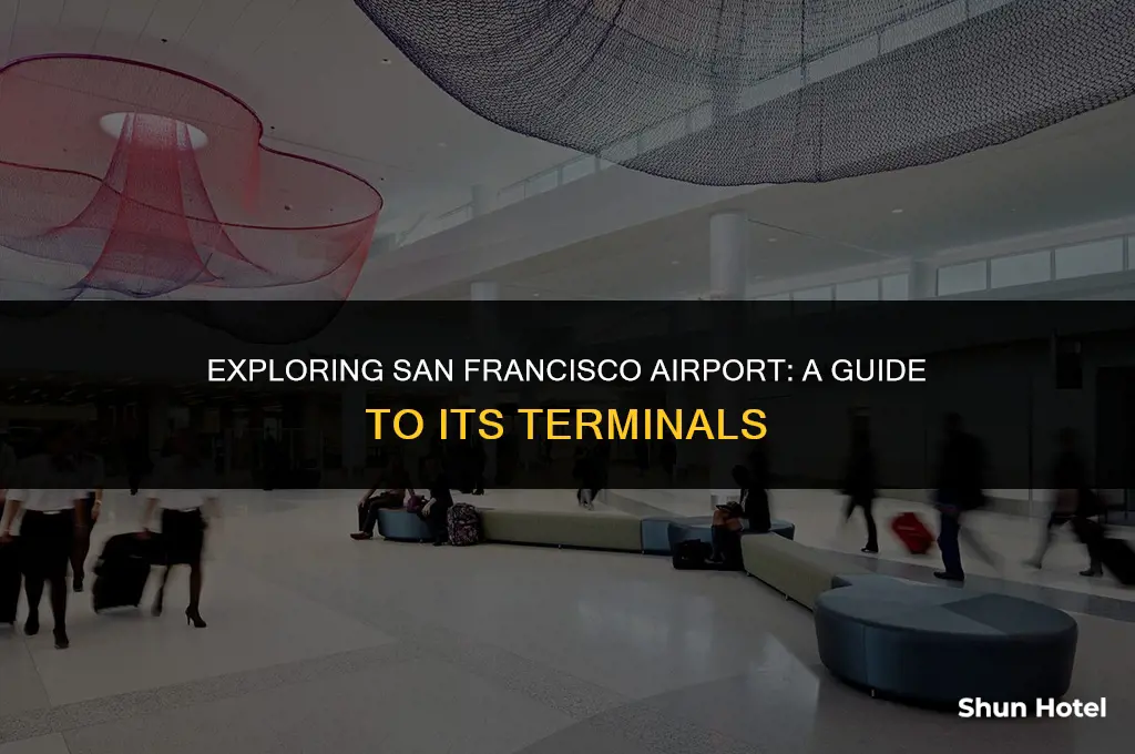 how many terminals in sfo airport