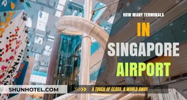 Exploring Singapore Airport: A Comprehensive Guide to Its Terminals