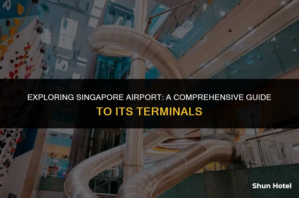 how many terminals in singapore airport