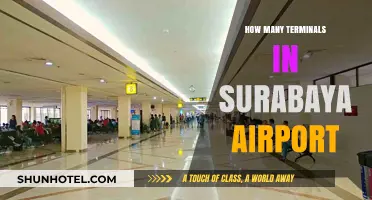 Exploring Surabaya Airport: A Comprehensive Guide to Its Terminals