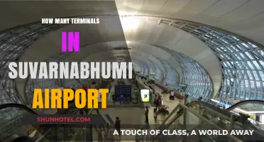 Exploring Suvarnabhumi: A Guide to the Airport's Terminal Count