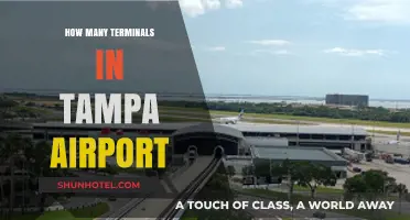 Exploring Tampa Airport: A Comprehensive Guide to Its Terminals