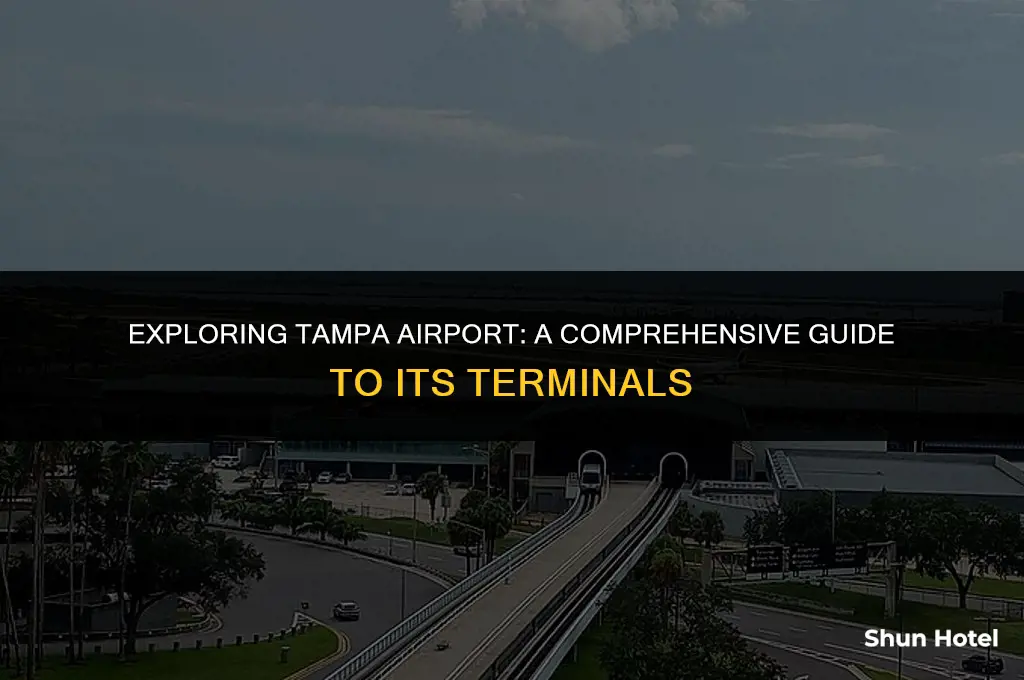 how many terminals in tampa airport