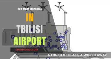 Exploring Tbilisi Airport: A Guide to Its Terminals and Facilities