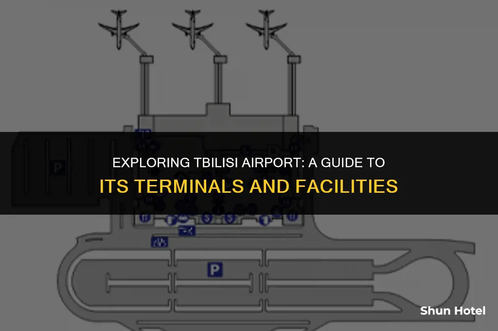 how many terminals in tbilisi airport