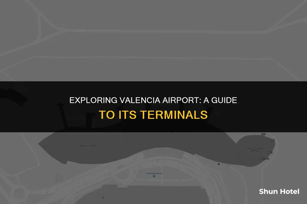 how many terminals in valencia airport