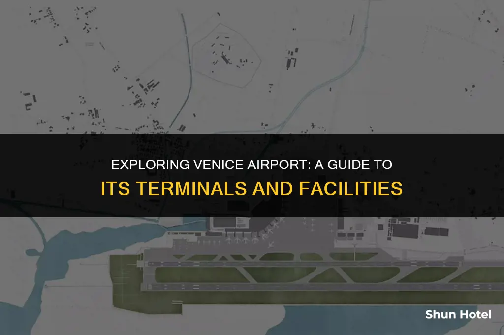 how many terminals in venice airport