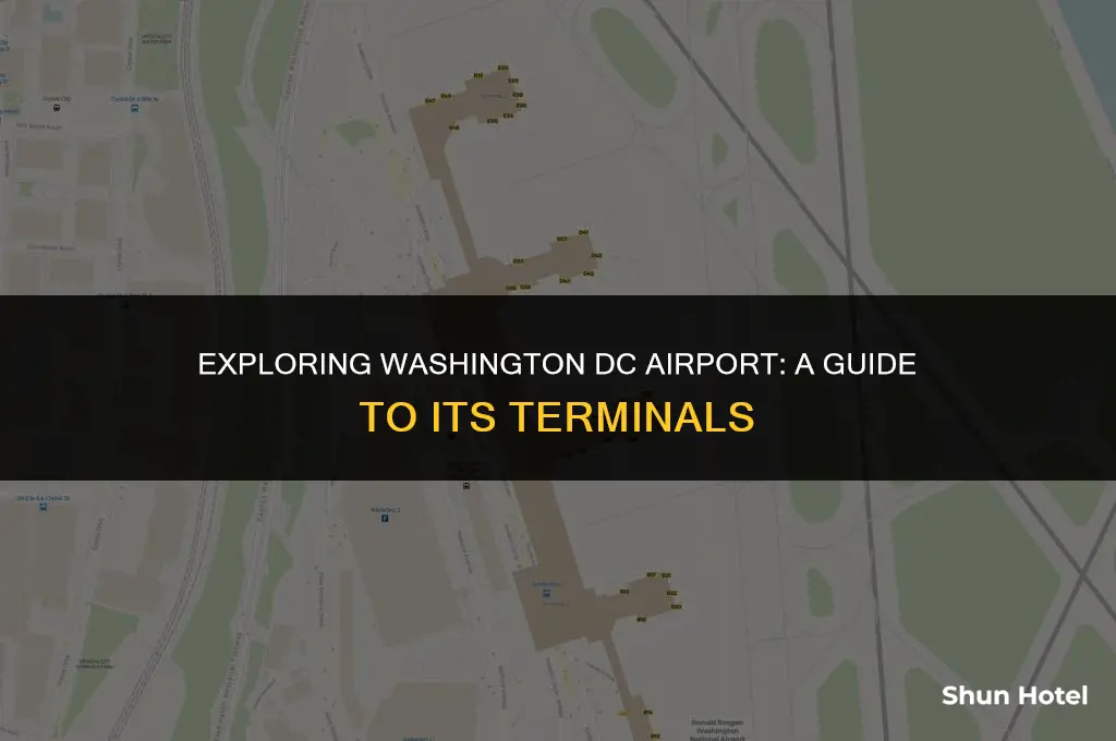 how many terminals in washington dc airport